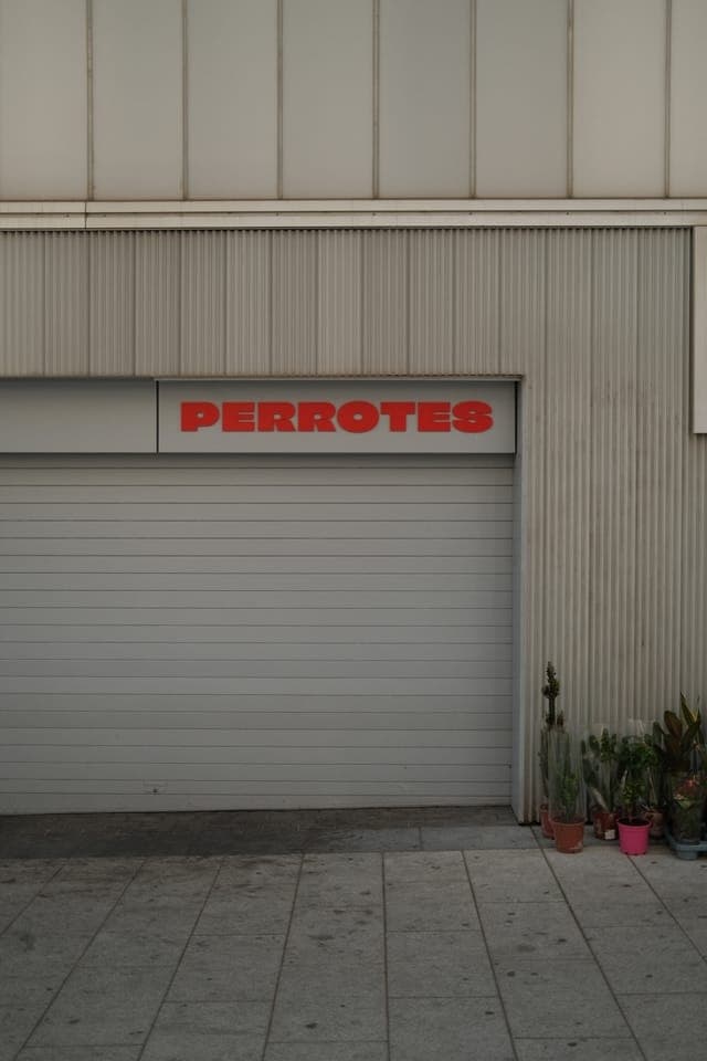 Perrotes
