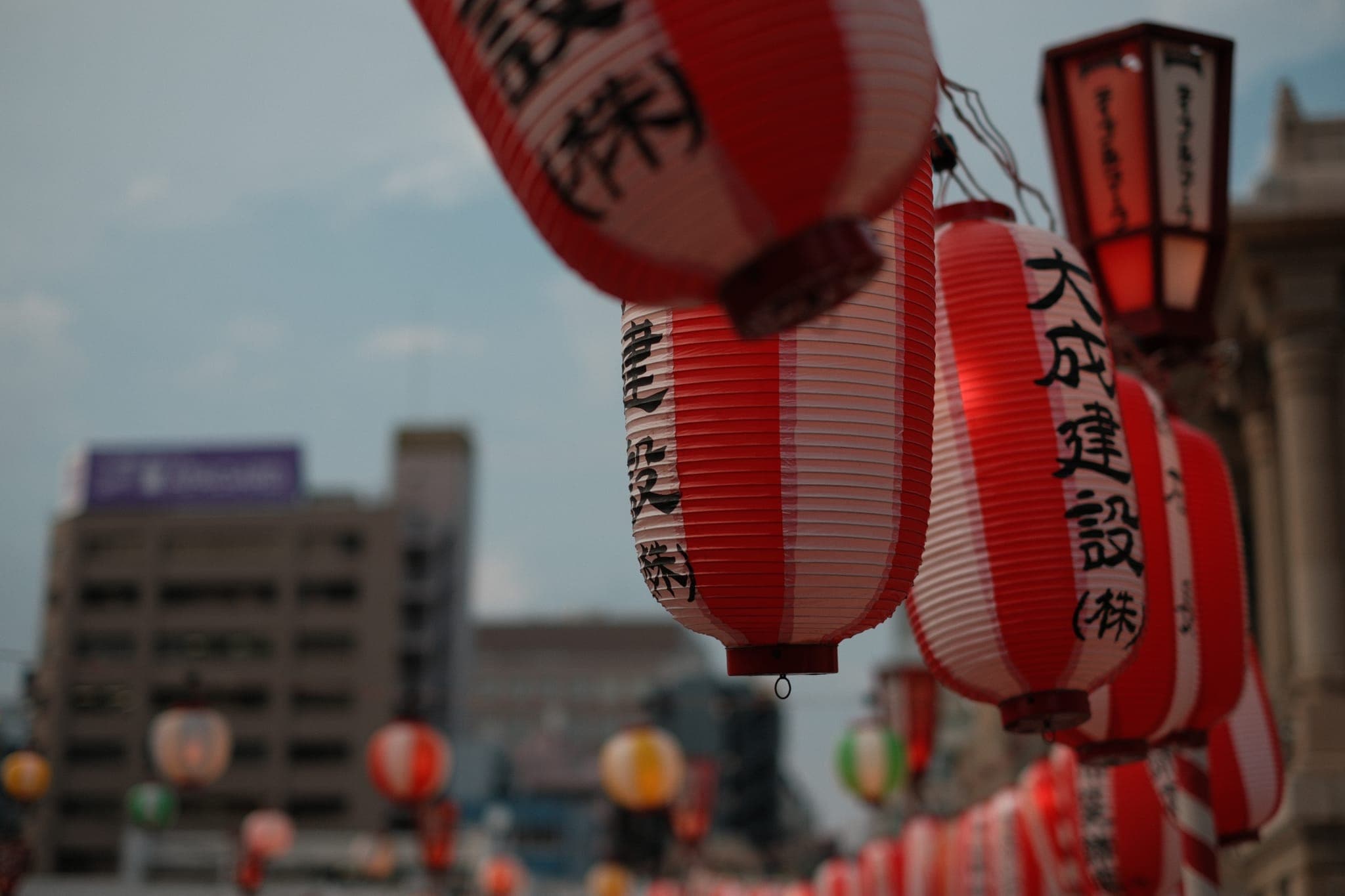 Summer Festival